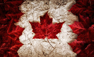 The image of the flag of Canada constructed entirely out of genuine maple leaves from species native to that country. Laid out on top of worn out particle board.
** Note: Shallow depth of field