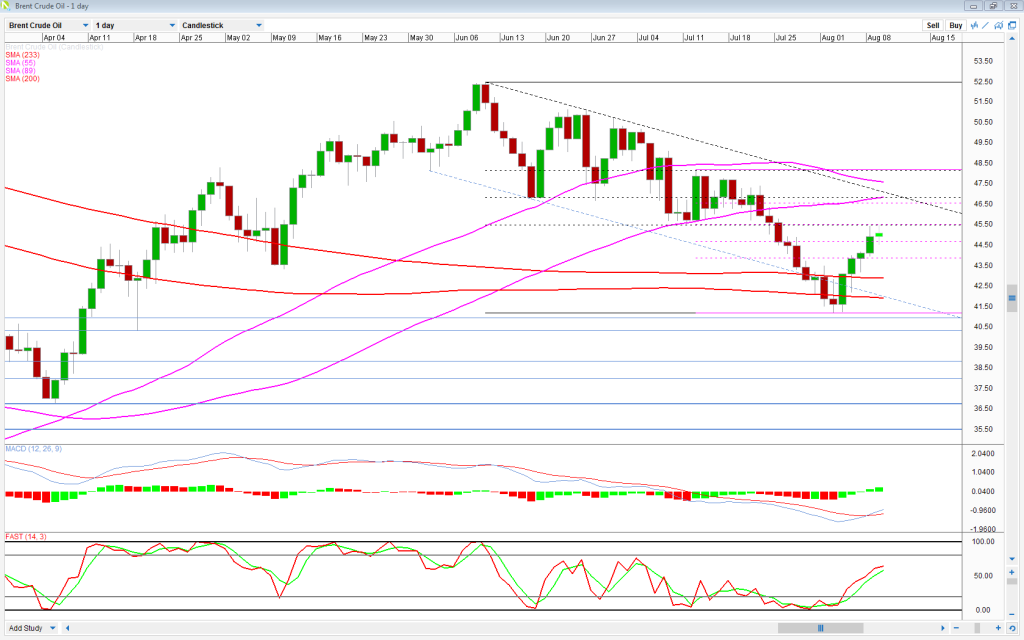 Brent Daily