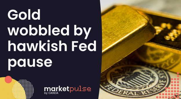 Video – Gold wobbled by hawkish Fed pause