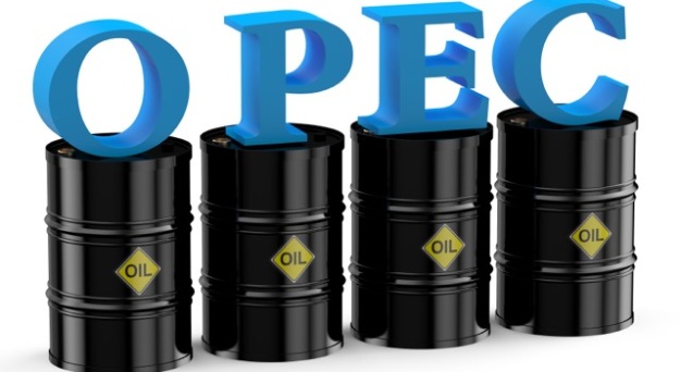 Oil Rises as OPEC Hints at Output Freeze
