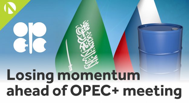 WTI Crude – Losing momentum ahead of OPEC meeting