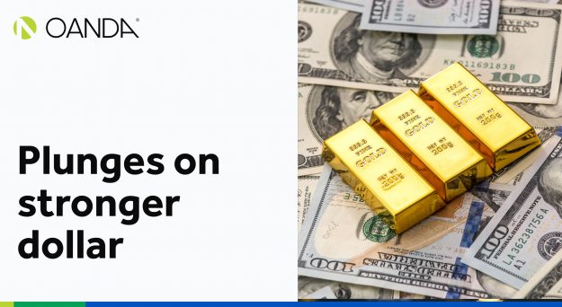 Gold – Plunges on stronger dollar