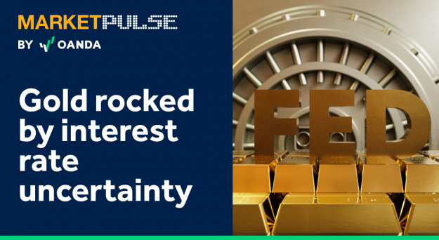 Gold – Rocked by interest rate uncertainty