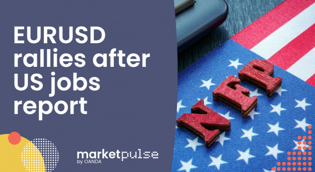 Hedging the Markets – EUR/USD rallies after US jobs report (video)
