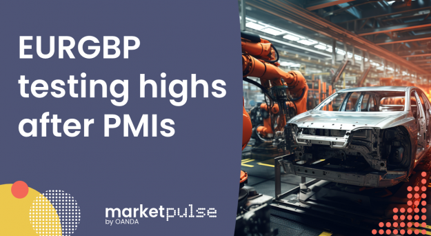 Hedging the Markets – EUR/GBP testing highs after stronger PMI data (video)
